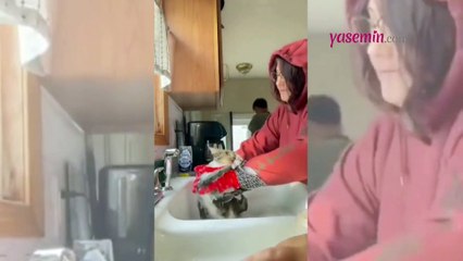 Kedi ve sahibinin banyo mücadelesi görenleri hayrete düşürdü!
