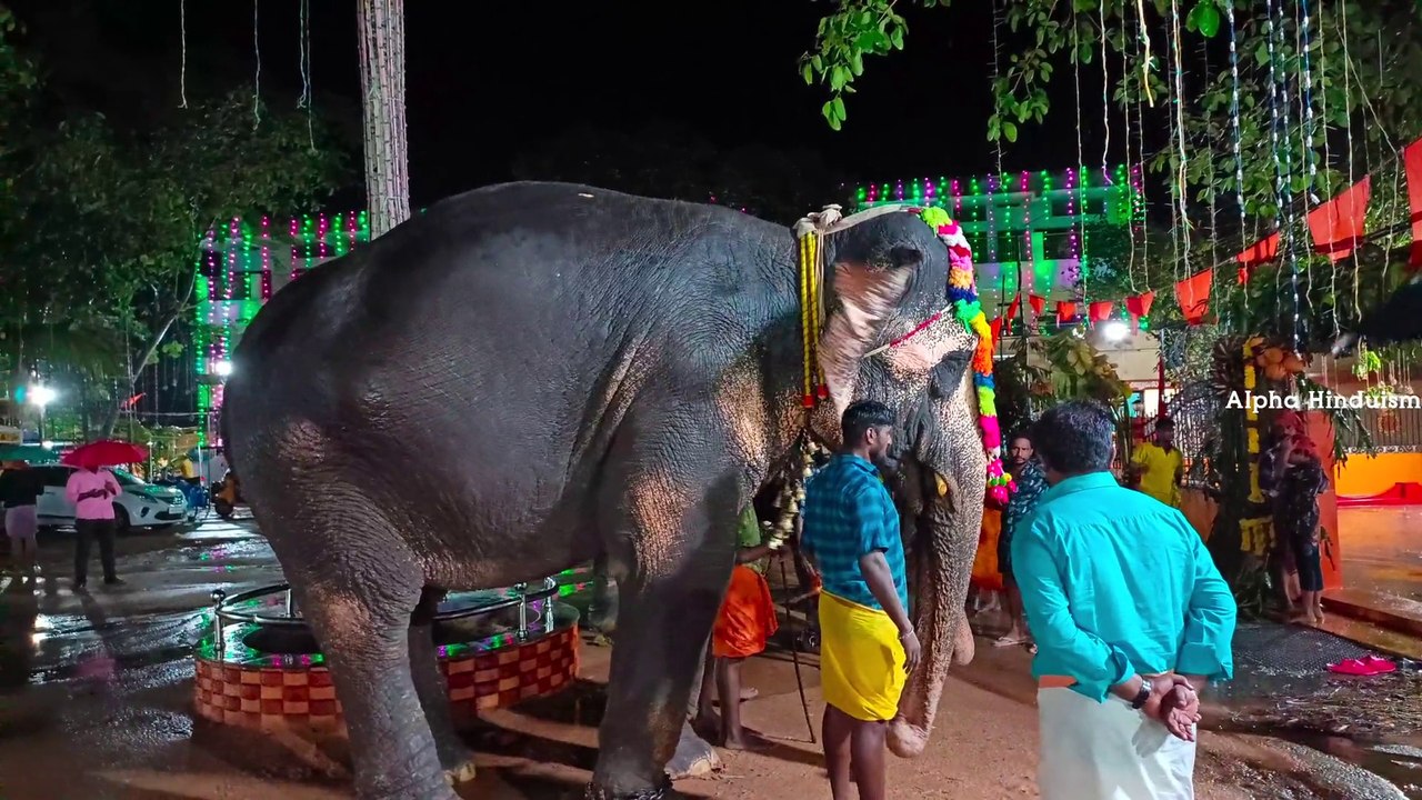 Koottalumoodu bhadreswari Amman temple festival 2nd day Amman bavani 2023