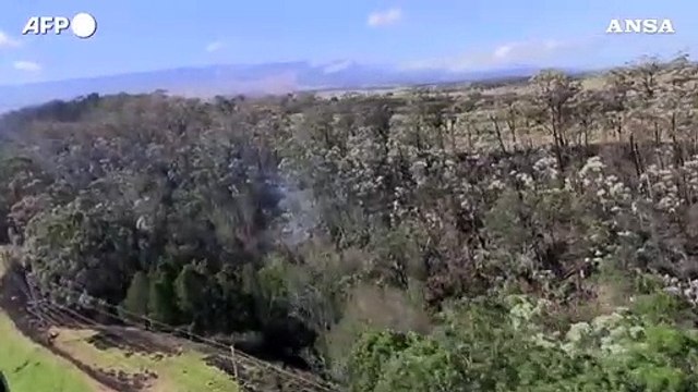 Incendi alle Hawaii, a fuoco le foreste: elicotteri in azione per domare le fiamme