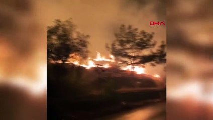L'incendie dans la zone de Makilik à Bodrum a été éteint