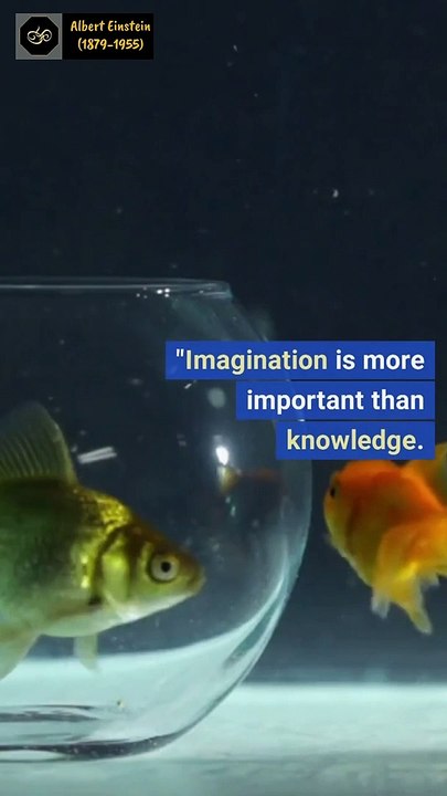 Quotes