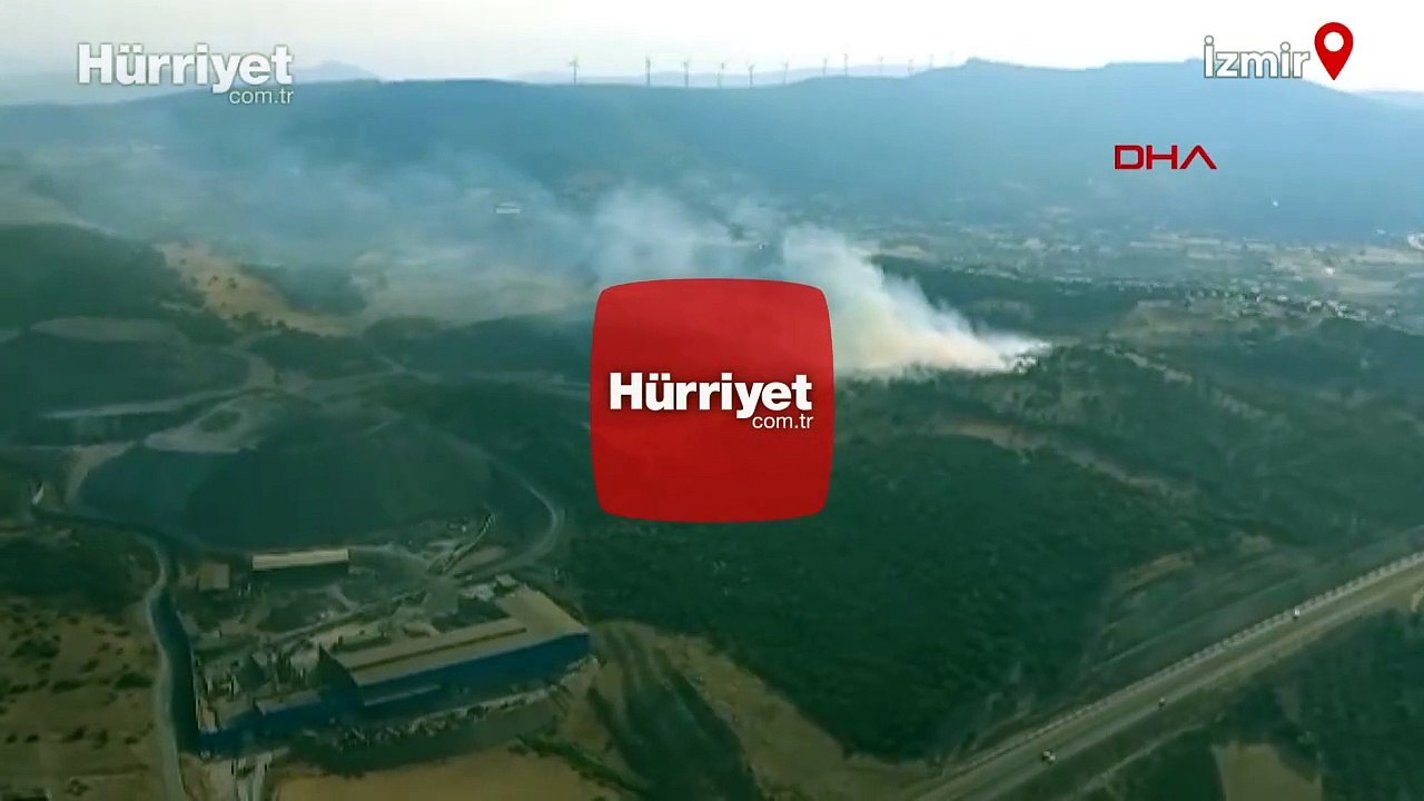 İzmir'in Aliağa ilçesinde otluk alanda yangın