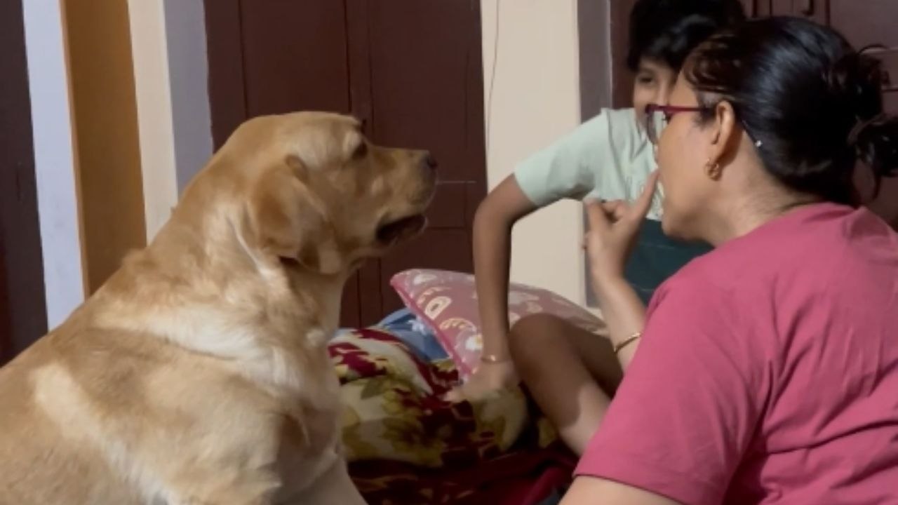 Super AWESOME dog steps up to defend his human bro from getting scolded by his mom