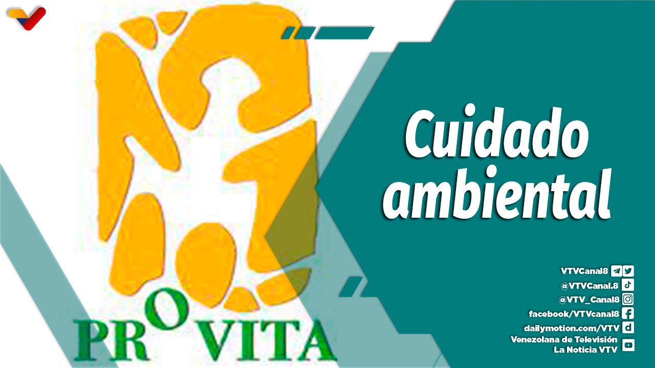 Punto Verde | Provita innova para la conservación de los ecosistemas de Venezuela y el Mundo
