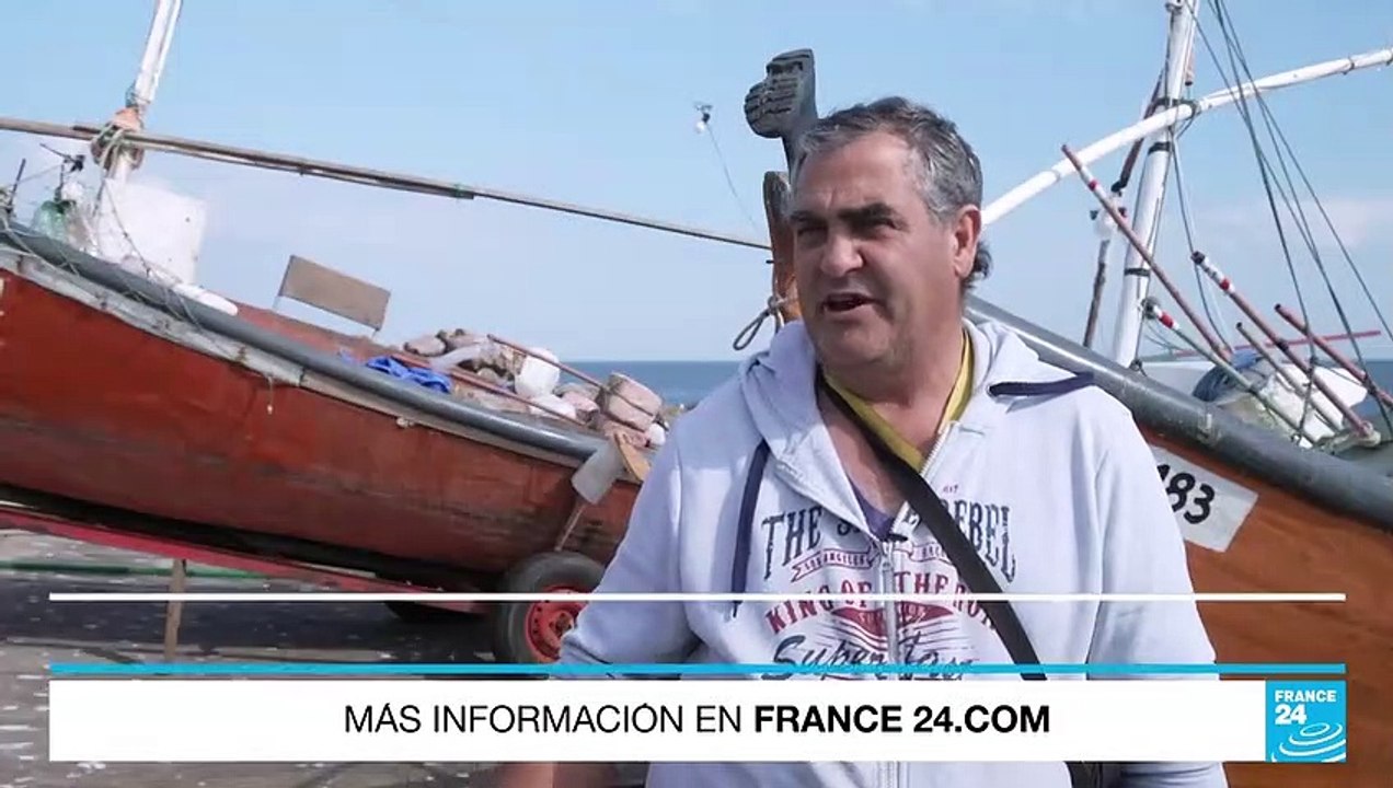 Alerta en Uruguay por la aparición de animales marinos muertos en las costas del país