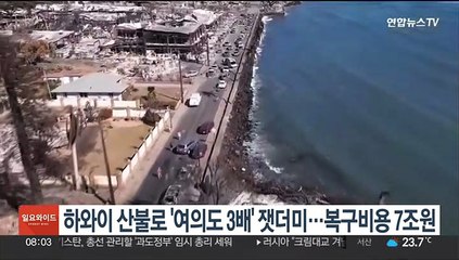 하와이 산불로 '여의도 3배' 잿더미…복구비용 7조원