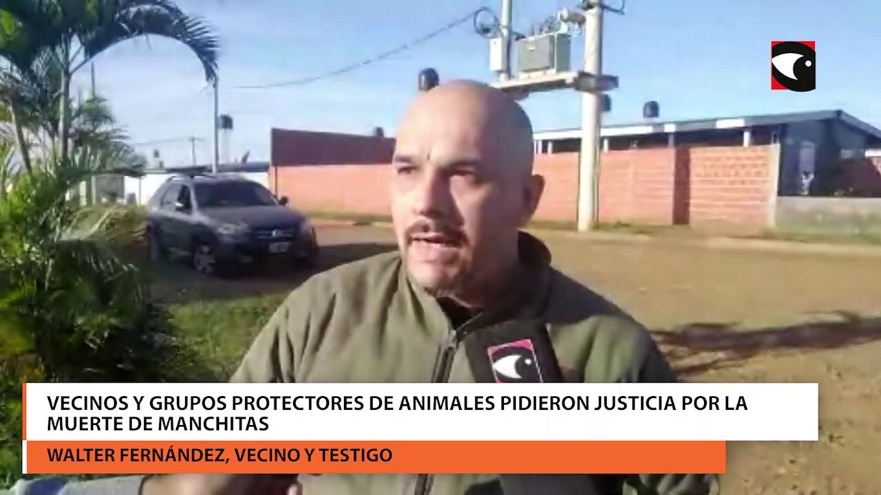 Vecinos y grupos protectores de animales pidieron justicia por la muerte de Manchitas