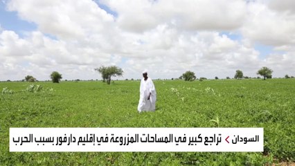 كيف أضرت الحرب في السودان بالقطاع الزراعي؟