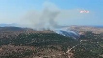 İzmir Aliağa'da Otluk ve Makilik Alanda Yangın Çıktı