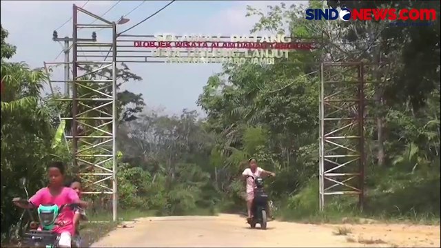 Dampak El Nino Mulai Terasa, Objek Wisata Danau Tangkas Muaro Jambi Mengering