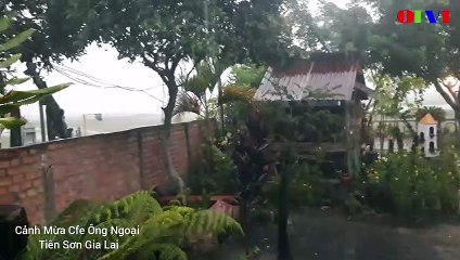 OTV1 HD Cảnh Mừa Cfe Ông Ngoại Tiên Sơn Gia Lai