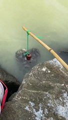 Memancing kepiting