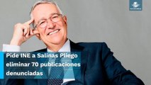 Rechaza Salinas Pliego bajar tuits contra Citlalli Hernández tras orden del INE