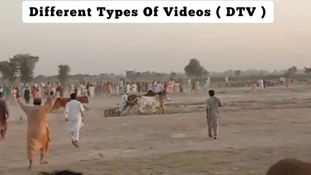 Sindh Bull Race 2022_-_Daandan ji goi