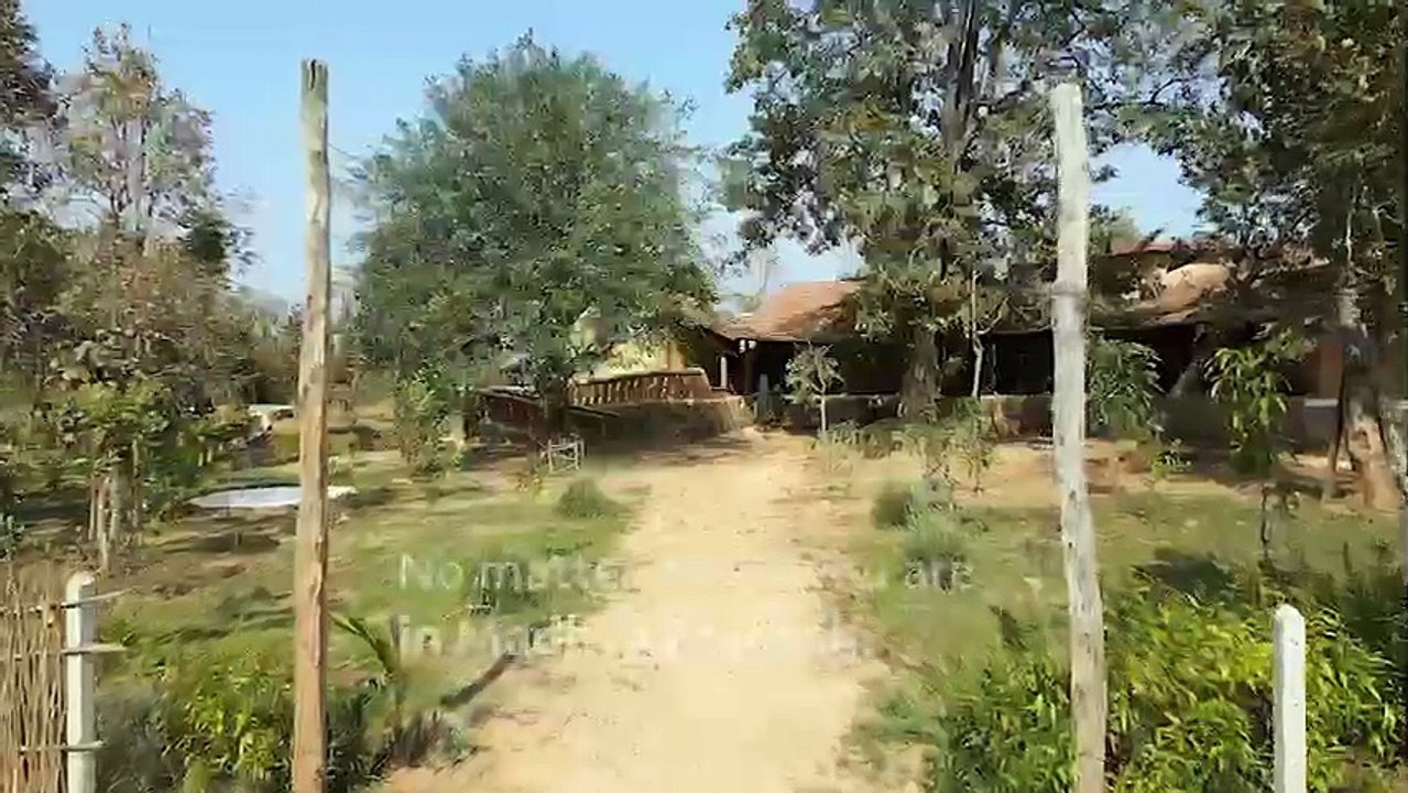 MP Wellness | Farm