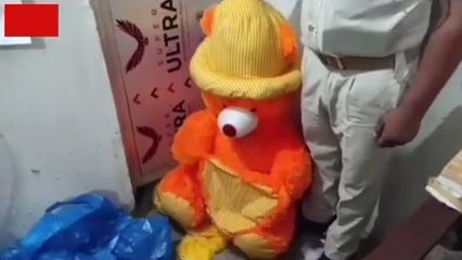 सारण: शराब तस्करों का अजब गजब खेल, बच्चों के टेडी बियर अंग्रेजी शराब बरामद, चाचा-भतीजा गिरफ्तार