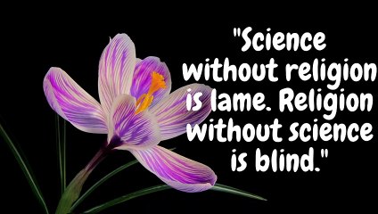 THE MOST FAMOUS EINSTEIN QUOTES