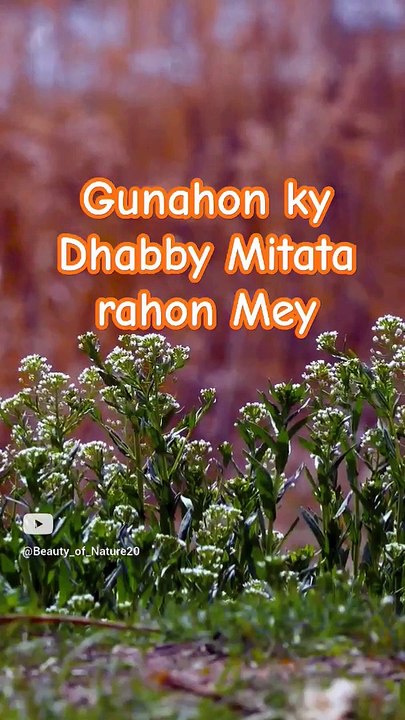 #Beautiful Hamd#Beautiful Nature#Beautiful World#Shorts#Shorts with Lyrics#Youtube# (2)