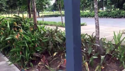 Filinvest City to ATC, (Sarado ang Convenience Store?!) [Stories Vlog] #SV 05