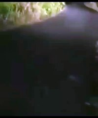 सड़क पर आया तेंदुआ  कार पर हमले का प्रयास किया