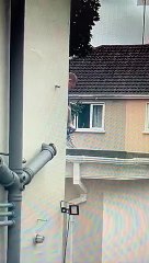 Operaio furioso fa a pezzi il tetto con la motosega