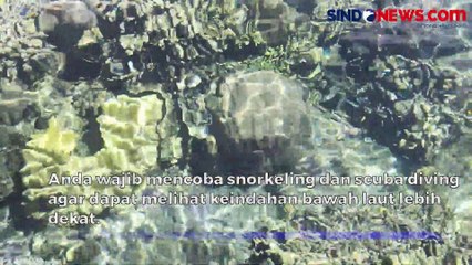 Liburan Seru ke  Bunaken, Wajib Coba Snorkeling Hingga Mencicipi Kuliner