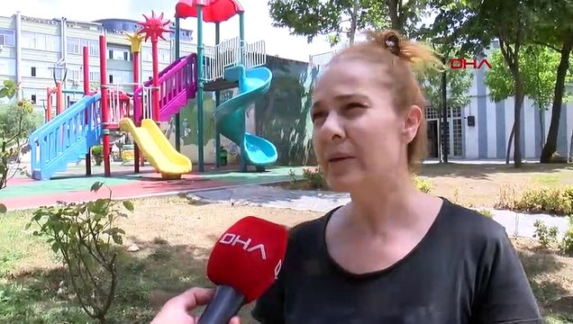 Bayrampaşa'da Parkta Ölü Bulunan Kedilerin Zehirlendiği İddia Edildi
