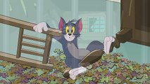 Tom și Jerry _ Castravetofobia _ Cartoonito(720P_HD)