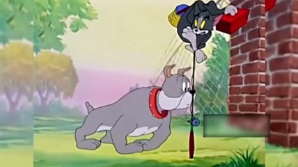 Tom et Jerry en vrai