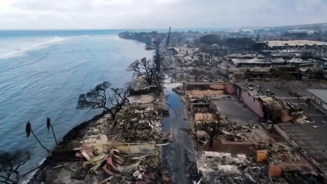 ABD'nin Havai eyaletindeki orman yangınlarında can kaybı 89'a ulaştı