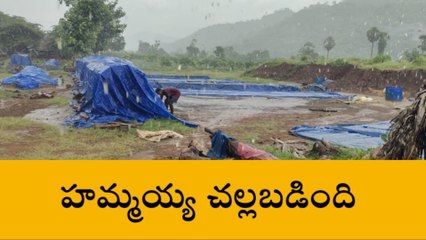 అనకాపల్లి జిల్లా: జిల్లాలో దంచికొట్టిన వర్షం