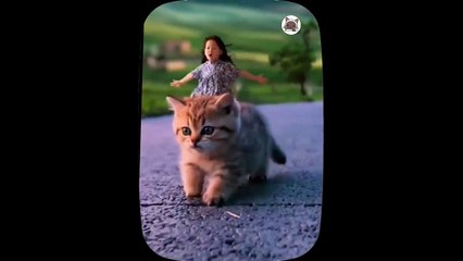 Cute little cat  animals 2023 _ cat videos _ Part 11