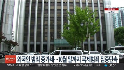 외국인 범죄 증가세…10월 말까지 국제범죄 집중단속