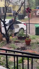 Got to Love the Weather in Houston