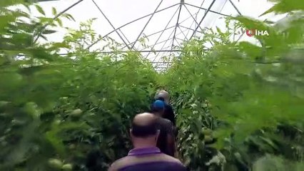 Erzincan'da Seracılık Sektörü Gelişmeye Devam Ediyor