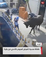طفلة تتعرض لهجوم قاسي من بقرة أثناء مرورها الشارع في الهند