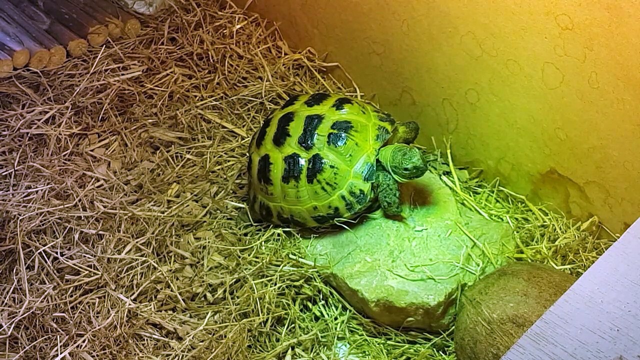 Chillin' ️
