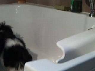 Cheyenne le cleptomanne