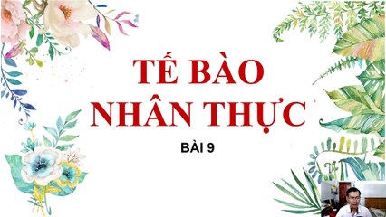 Sinh 10 - Bài 9 Tế bào nhân thực