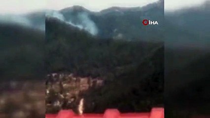Hatay'da orman yangını
