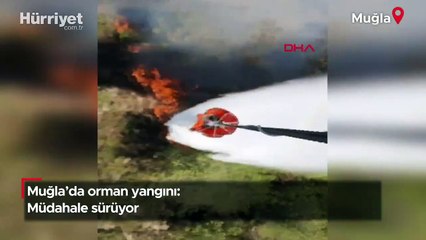 Muğla’da orman yangını: Müdahale sürüyor