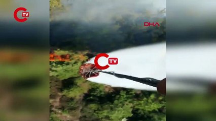 Muğla'daki orman yangını kontrol altına alındı