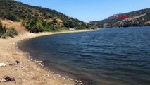 Boğazköy Barajı'nda Ölü Balık Ölümleri Endişe Yarattı