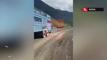Rusya'da boynuzları elektrik hattına takılan keçi sallandı