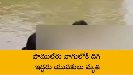 అల్లూరి జిల్లా: పాములేరు వాగులో ఇద్దరు యువకులు మృతి