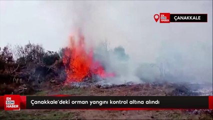 Çanakkale'deki orman yangını kontrol altına alındı