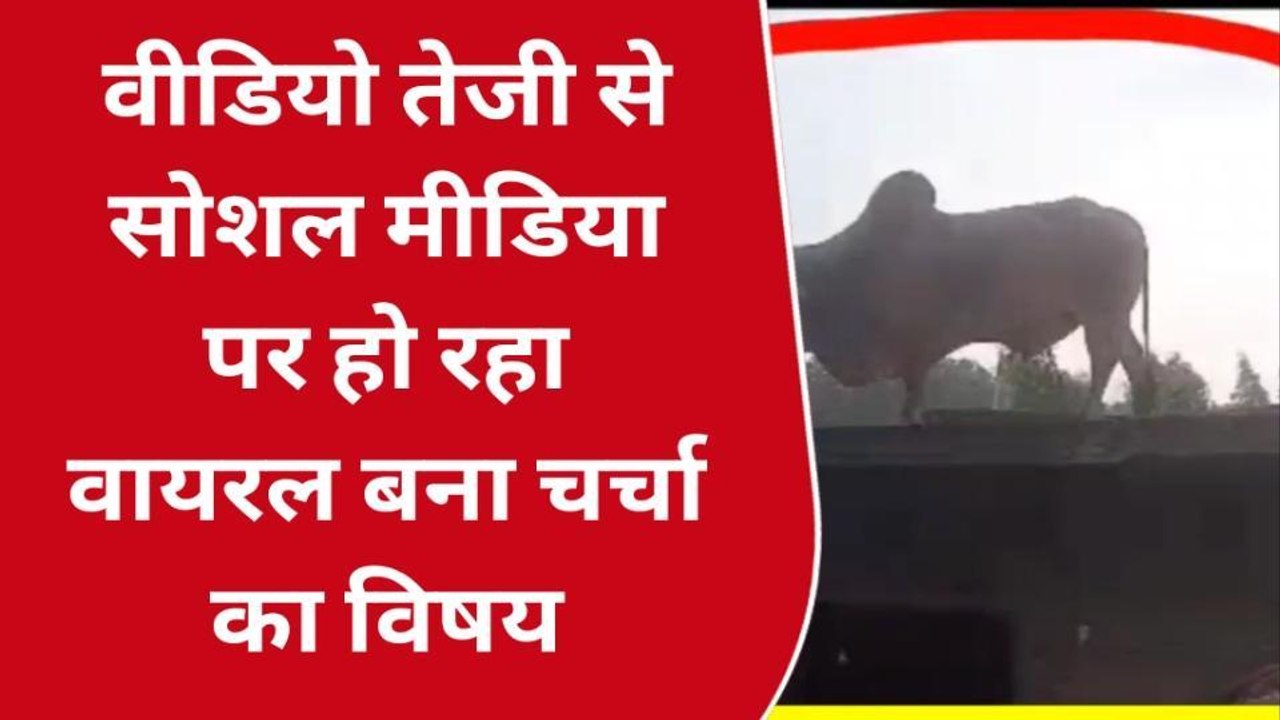 गोण्डा: छत पर सांड के चढ़ने से मचा हडकंप, देखें फिर क्या हुआ