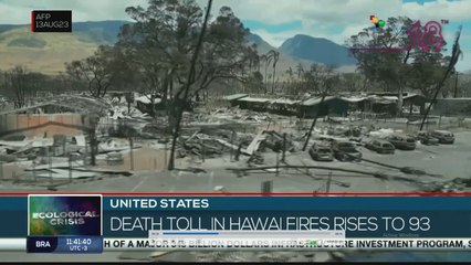 Hawaii wildfires death toll rises to 93