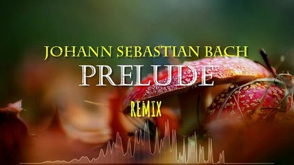 BACH PRELUDE  2 ANNA MAGDALINA KN 1 48-REMIX