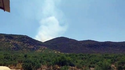 Diyarbakır Lice'de dün başlayan yangına yetersiz müdahale: Yangın tepelerde devam ediyor